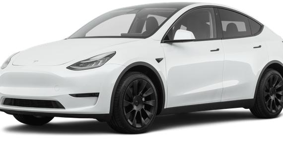 TESLA MODEL Y 2021 5YJYGDEE2MF195892 image
